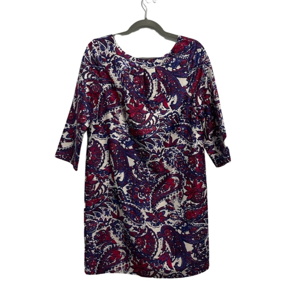 1055 The Limited Shift Dress